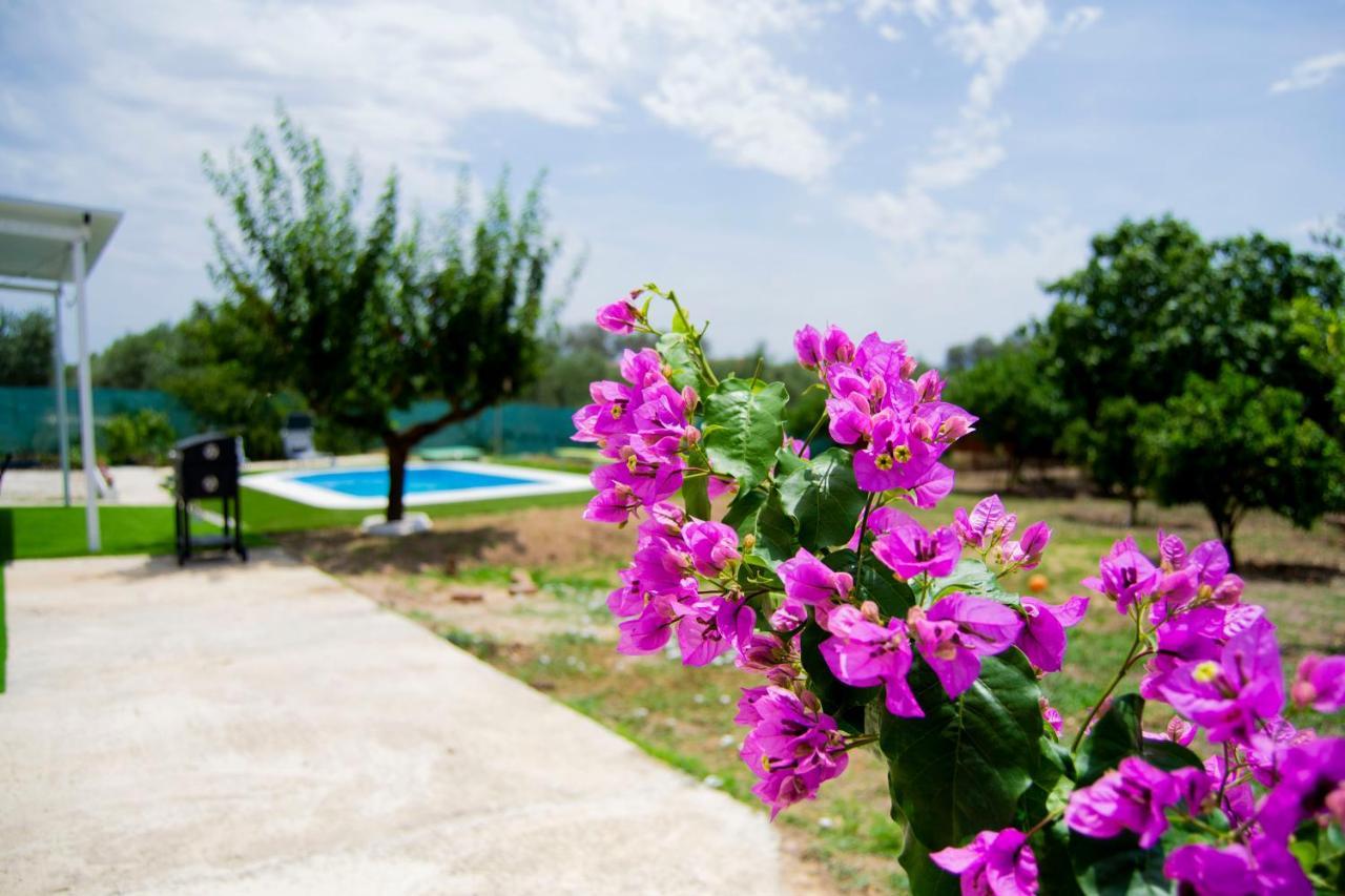 Vila La Casa Del Carreron Montilla Exteriér fotografie