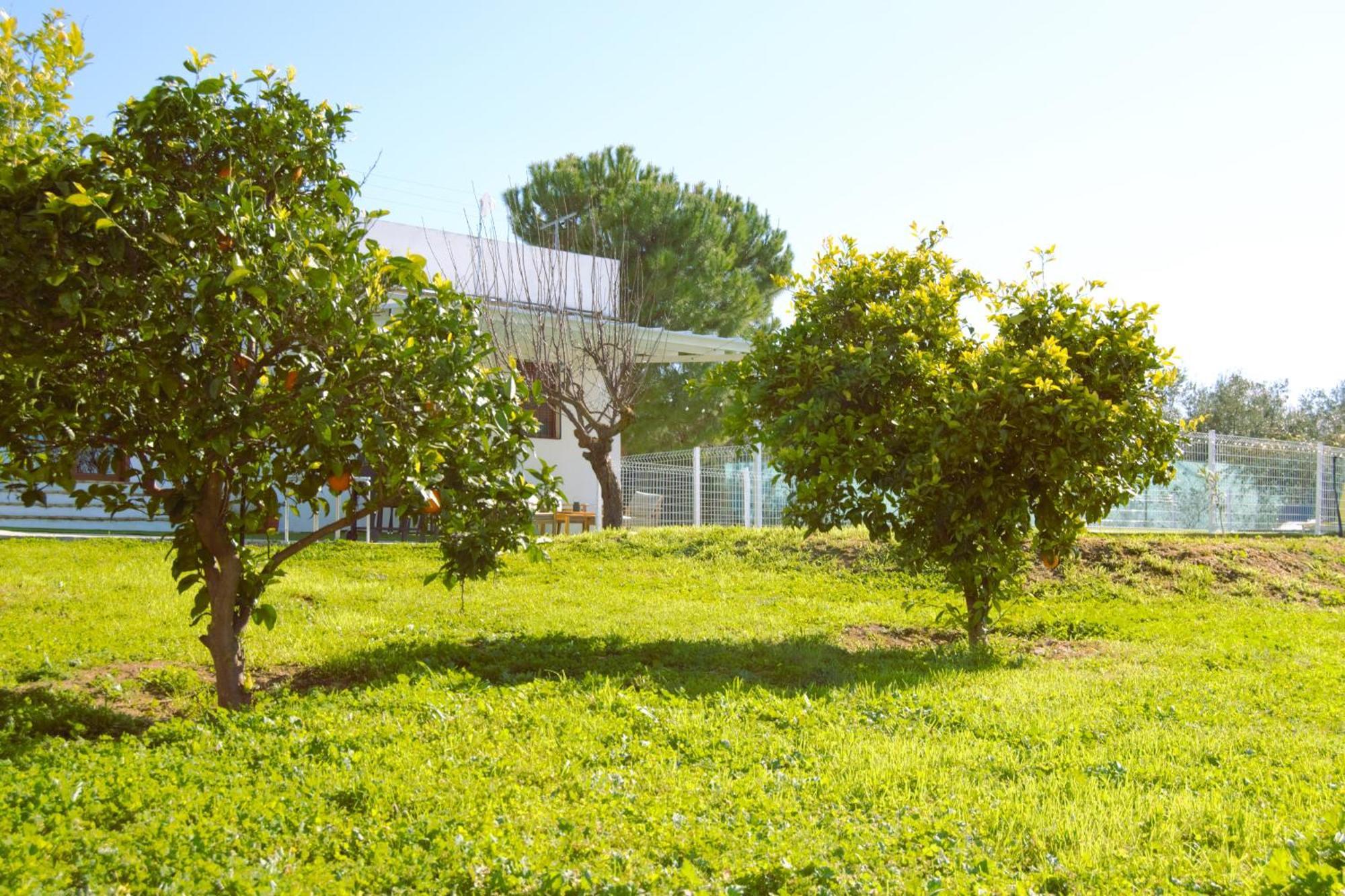 Vila La Casa Del Carreron Montilla Exteriér fotografie